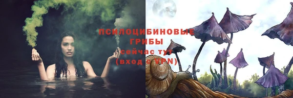 a pvp Михайловка