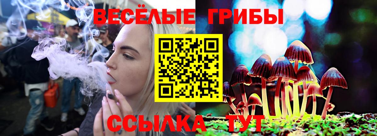 Псилоцибиновые грибы мухоморы  Галлюциногенные грибы Psilocybe  закладка  Ярцево 